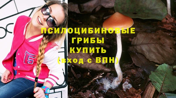 мет Баксан