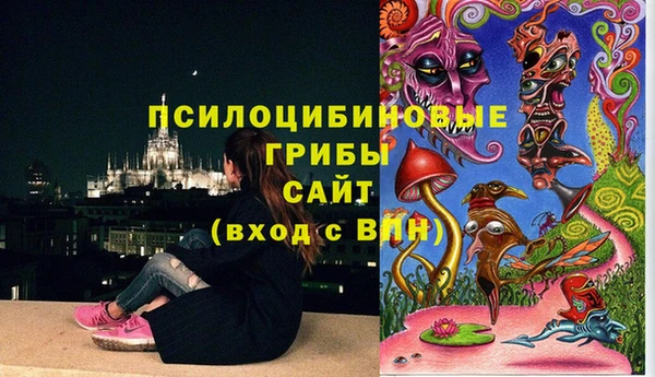 дмт Няндома