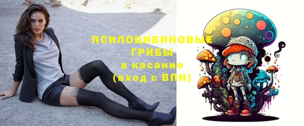 твердый Нягань
