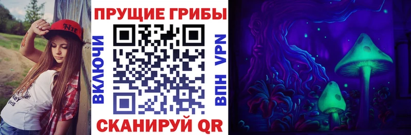 где найти   OMG зеркало  Псилоцибиновые грибы мицелий  Уфа 
